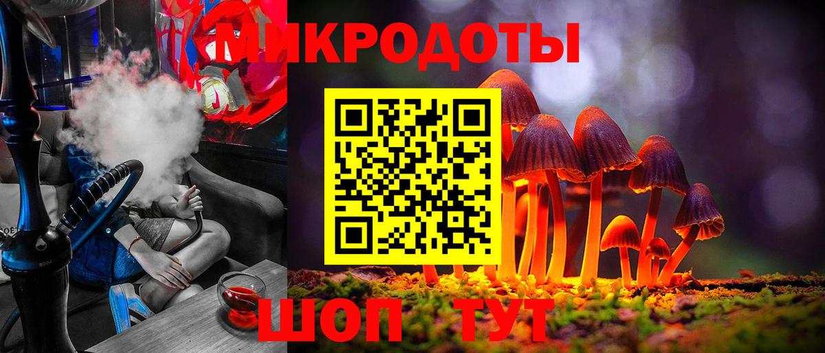 Псилоцибиновые грибы Psilocybe Алушта