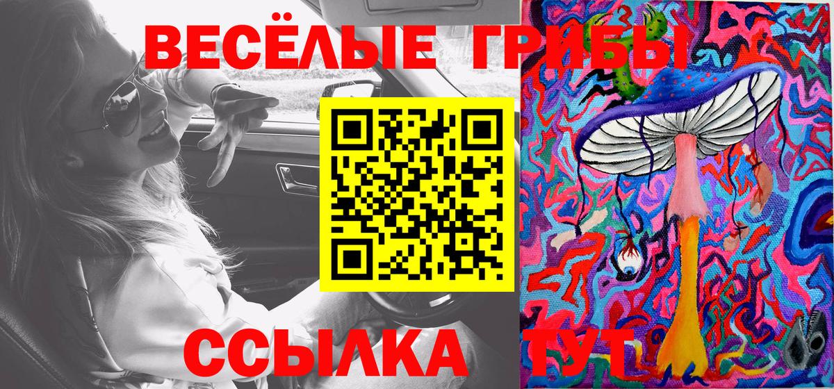 Алушта  Галлюциногенные грибы Psilocybe  Вход с VPN 